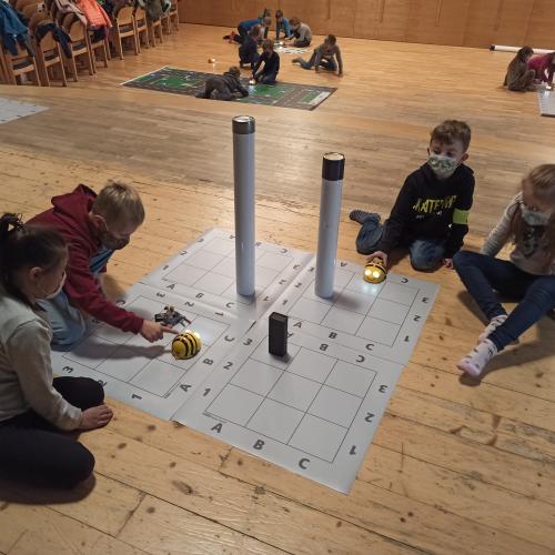 BeeBot1