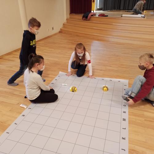 BeeBot7