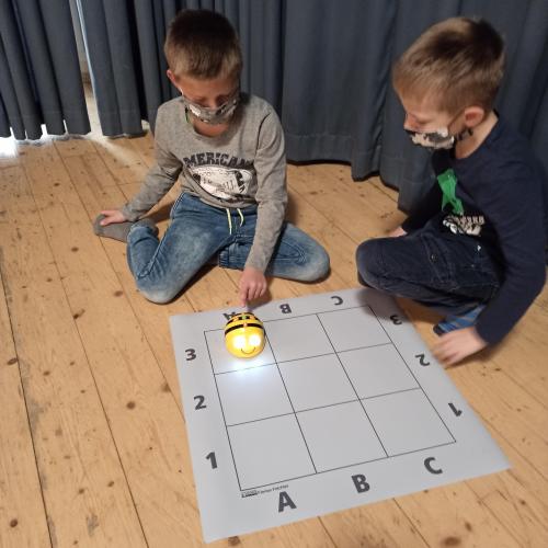 BeeBot13