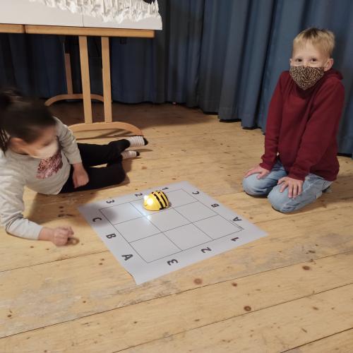 BeeBot18