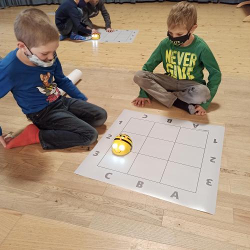 BeeBot19
