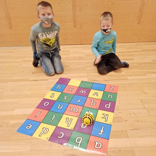 BeeBot 25