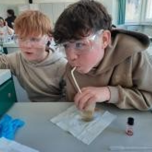 Experiment mit Fluoreszenz - Chemie