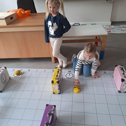 BeeBots in der VS