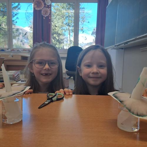 Experiment mit Wasser - Blumen