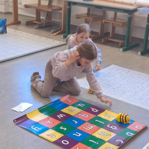 BeeBots in der VS