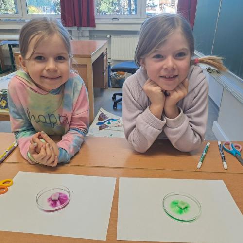 Experiment mit Wasser - Blumen