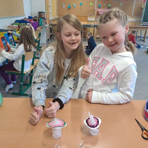 Experiment mit Wasser - Blumen