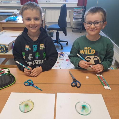 Experiment mit Wasser - Blumen
