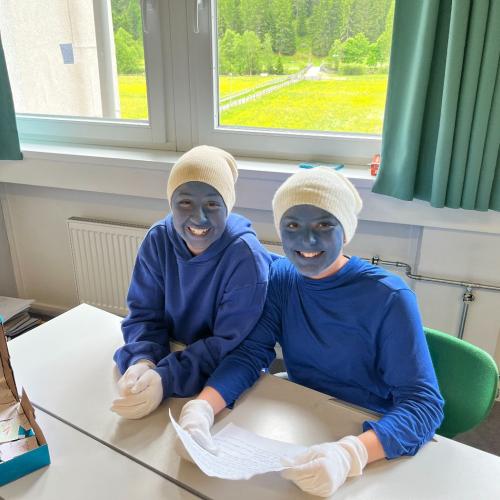Englisch in Action - Sprachwoche - MS Deftal