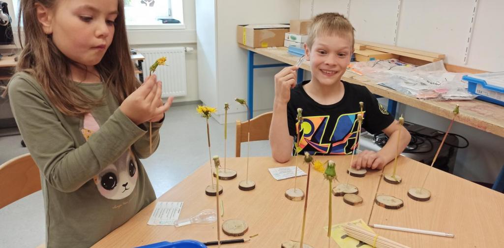 MINT - Forscherwerkstatt Löwenzahn5