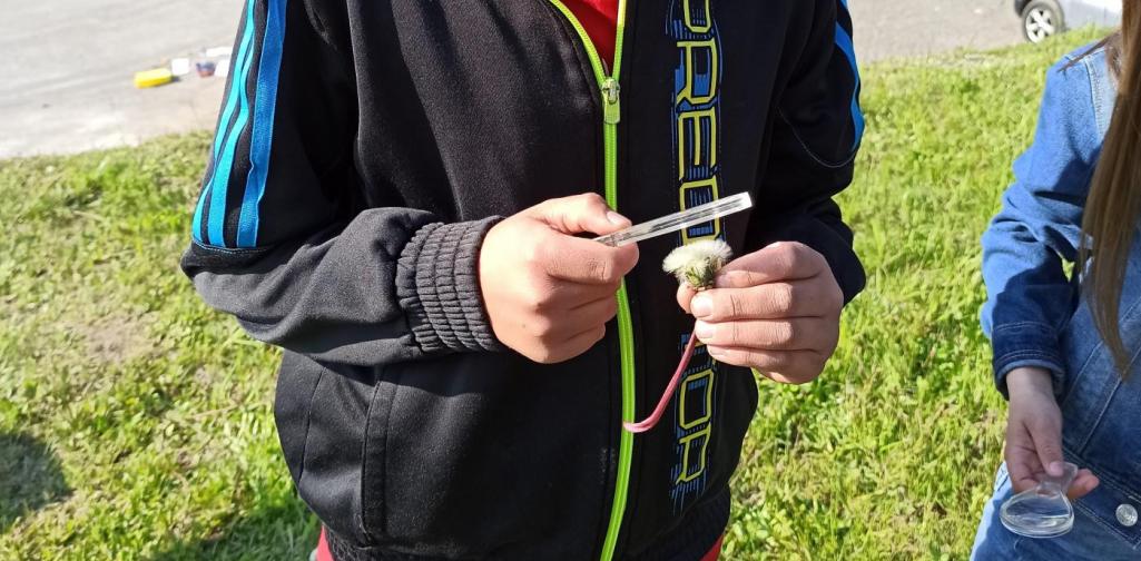 MINT - Forscherwerkstatt Löwenzahn2